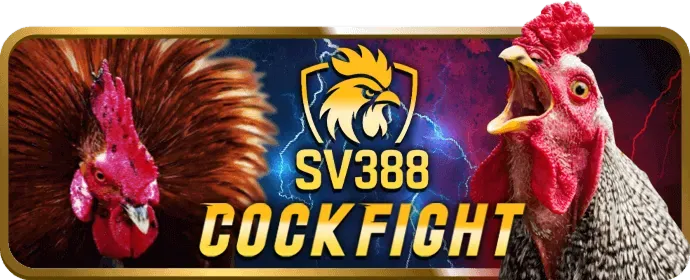 Chương Trình VIP và Khách Hàng Thân Thiết jjun88